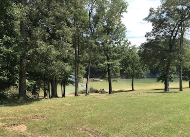 363 Devon Way Rd, White Pine, TN 37890 - photo 2