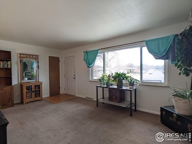 2042 27th St, Greeley, CO 80631 - photo 5