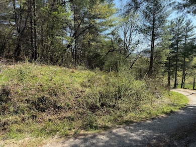 00 Appleberry Ln, Franklin, NC 28734 - photo 7