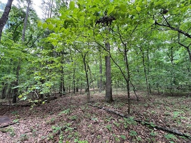 000 Boiling Springs Rd, Licking, MO 65542 - photo 4