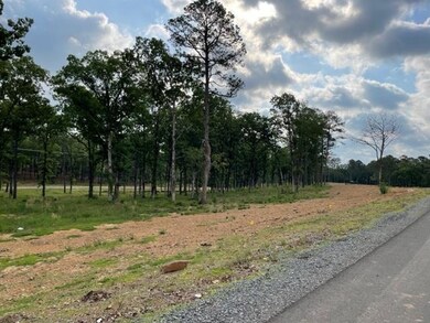0 Orchard Hill Lot 3 Ph 3 unit 22017227, Conway, AR 72034 - photo 3
