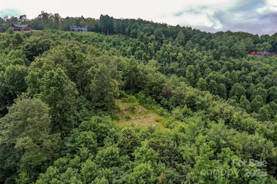 9999 High Cliffs Trail, Black Mountain, NC 28711 - photo 6