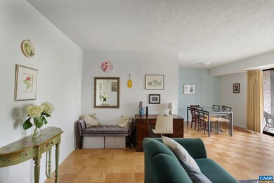 511 1st St N unit 309, Charlottesville, VA 22902 - photo 3