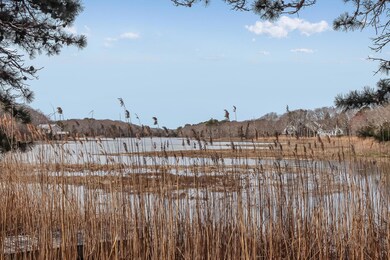 36 Alder Ln, North Falmouth, MA 02556 - photo 7