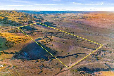 37297 Arizona 61, Concho, AZ 85924 - photo 6