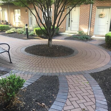 bgpatio