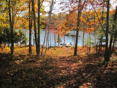 Path leading to the shore from the...