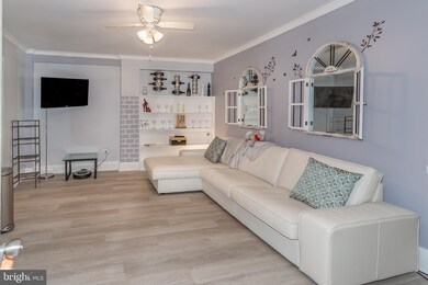 2410 20th St NW unit 7, Washington, DC 20009 - photo 4