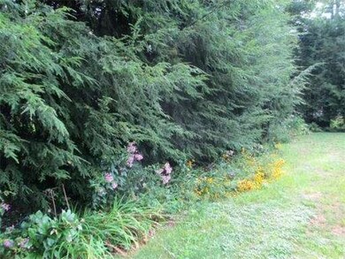 808 Dedham St, Newton Center, MA 02459 - photo 3