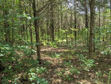 Lot 7A Flat-Wooded