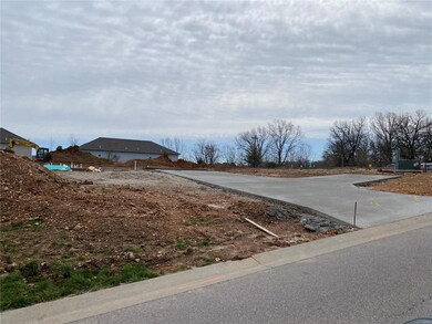 163 Zeigenbein Rd, Saint Robert, MO 65584 - photo 3