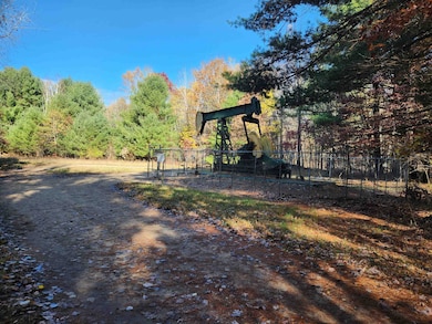 92 ACRES E River Rd, Mount Pleasant, MI 48858 - photo 5