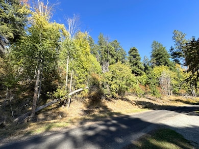 34500-35698 N Terrace Dr, Bayview, ID 83803 - photo 3