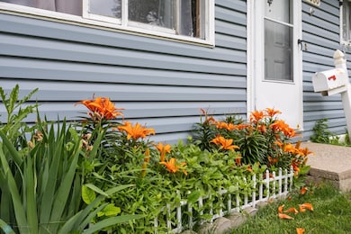 img20250629_007.jpg