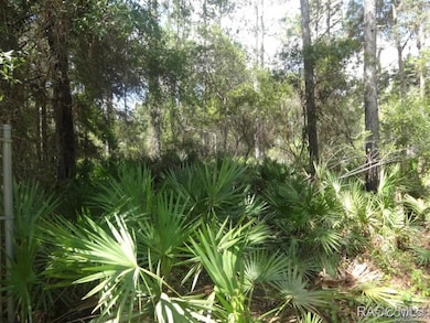 7970 W Delta Ct, Crystal River, FL 34429 - photo 4