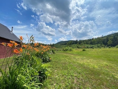 Local Mink Hill VIEWS