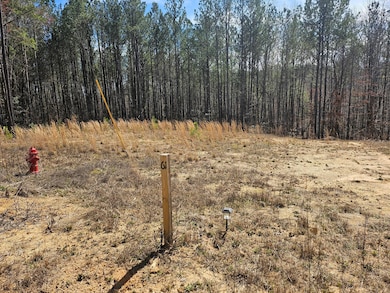 LOT 61 Shoreside at Sipsey, Houston, AL 35572 - photo 3