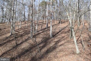 21 Ewing Dr, Moorefield, WV 26836 - photo 5