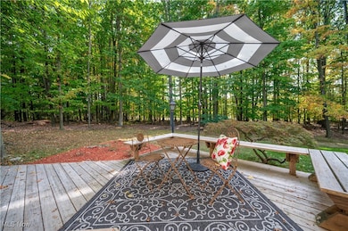 6261 Whispering Meadows, Canfield, OH 44406 - photo 4