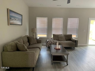 703 N Main Ave, Erwin, TN 37650 - photo 2