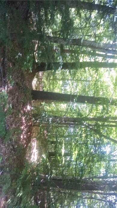 1 Webber Pond, Sweden, ME 04040 - photo 4