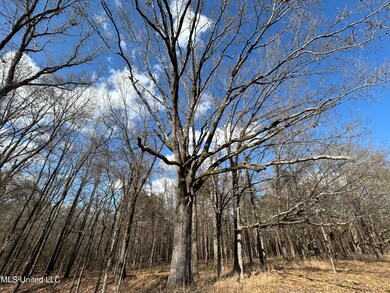 Photo Feb 07 2025, 2 40 01 PM