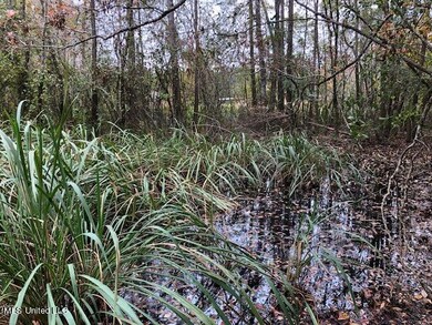 Small pond within Property