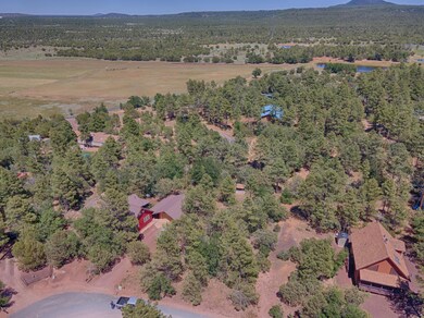 4209 Blue Mountain Ave, Show Low, AZ 85901 - photo 4