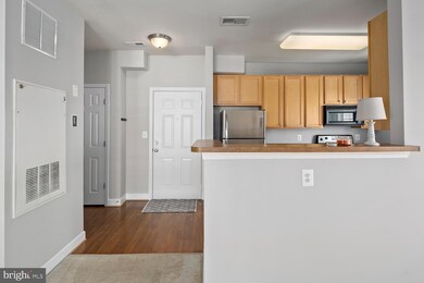 22725 Thimbleberry Square unit 301, Ashburn, VA 20148 - photo 3