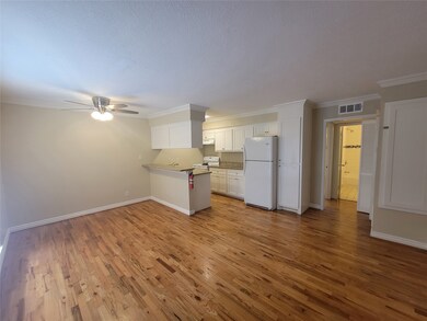425 E 9th St unit 15, Houston, TX 77007 - photo 6