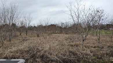 0 Bobwhite unit 84676240, Brookshire, TX 77423 - photo 4