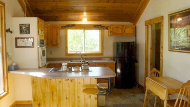 67823 Shady Ln, Collbran, CO 81624 - photo 4