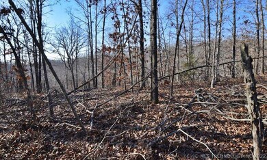 29100 Hampton Ridge Rd, Proctor, OK 74457 - photo 4