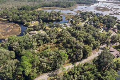 4351 N Mate Ln, Hernando, FL 34442 - photo 3