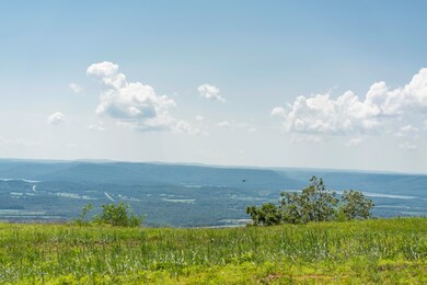 2850 River Bluffs Dr, Jasper, TN 37347 - photo 2