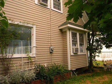 Exterior Back Well trimmed shrubs and price