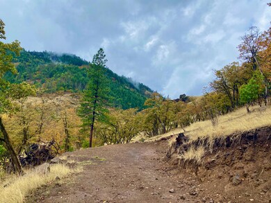 S F Little Butte Crk