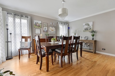 740 Fairview Ln, South Elgin, IL 60177 - photo 5