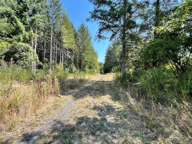 241 Bremgartner Rd, Winlock, WA 98596 - photo 3