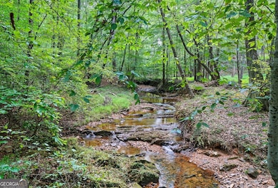 857 Jack Page Dr, Canton, GA 30115 - photo 3