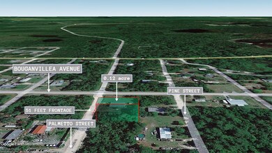 0 Palmetto St unit 25607535, Paisley, FL 32767 - photo 4