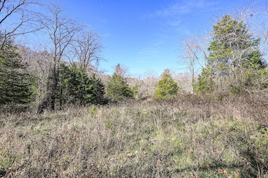 000 Swinging Bridges Rd, Brumley, MO 65017 - photo 7
