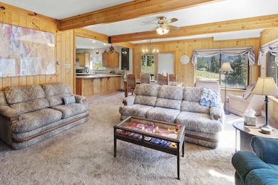 24 Valley of the Pines Rd, Red River, NM 87558 - photo 2