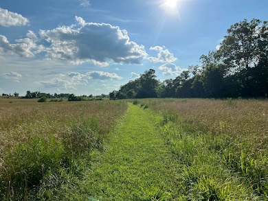 4811 Hwy Mm, Mountain Grove, MO 65711 - photo 3