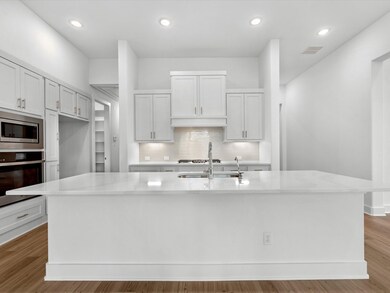 25014 Stella Falls Ln, Tomball, TX 77375 - photo 2