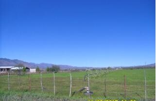 Fields
