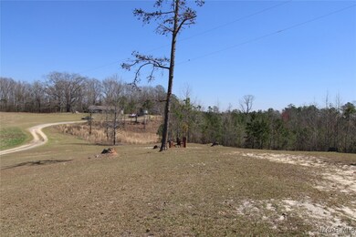 118 Widgeon Ln, Grady, AL 36036 - photo 4