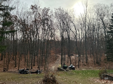 4951 W M 76, West Branch, MI 48661 - photo 4