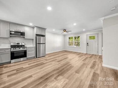 3133 Amay James Ave, Charlotte, NC 28208 - photo 6