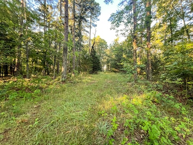 0 unit 11317518, Willow Springs, MO 65793 - photo 3